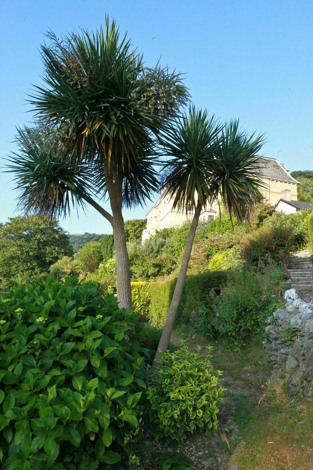 Epchris House Hotel Ilfracombe Exterior photo